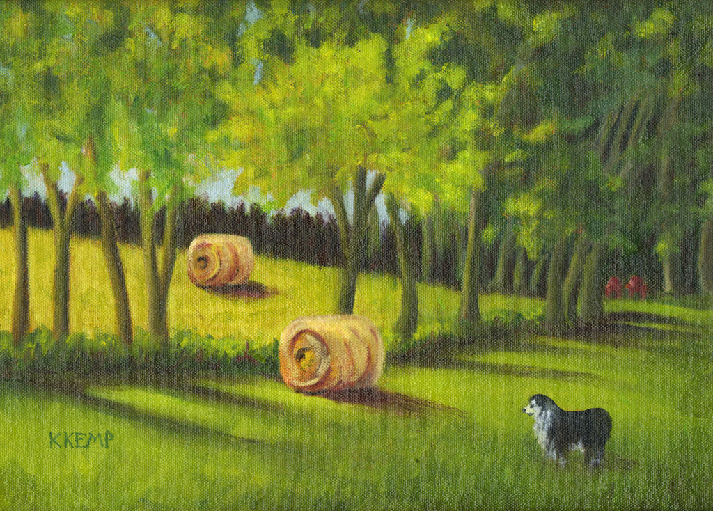 Haybales & Aussie