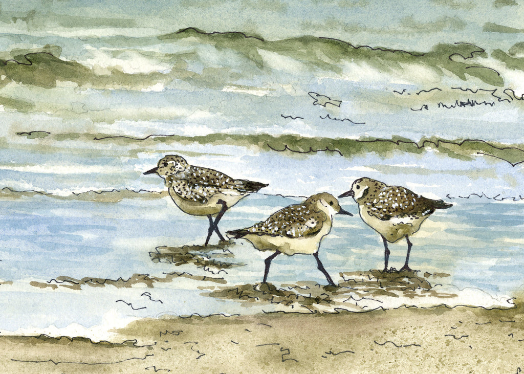 Sandpipers in Surf