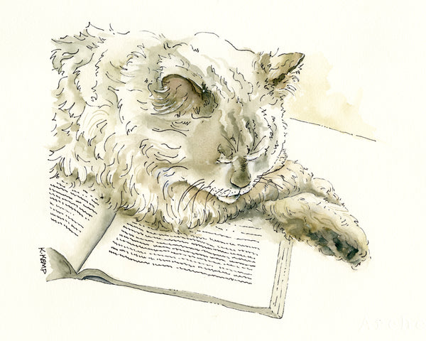 Cat on Book