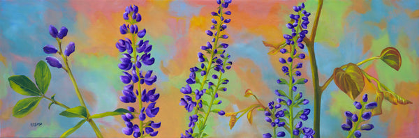 Lupine Purple Wildflowers