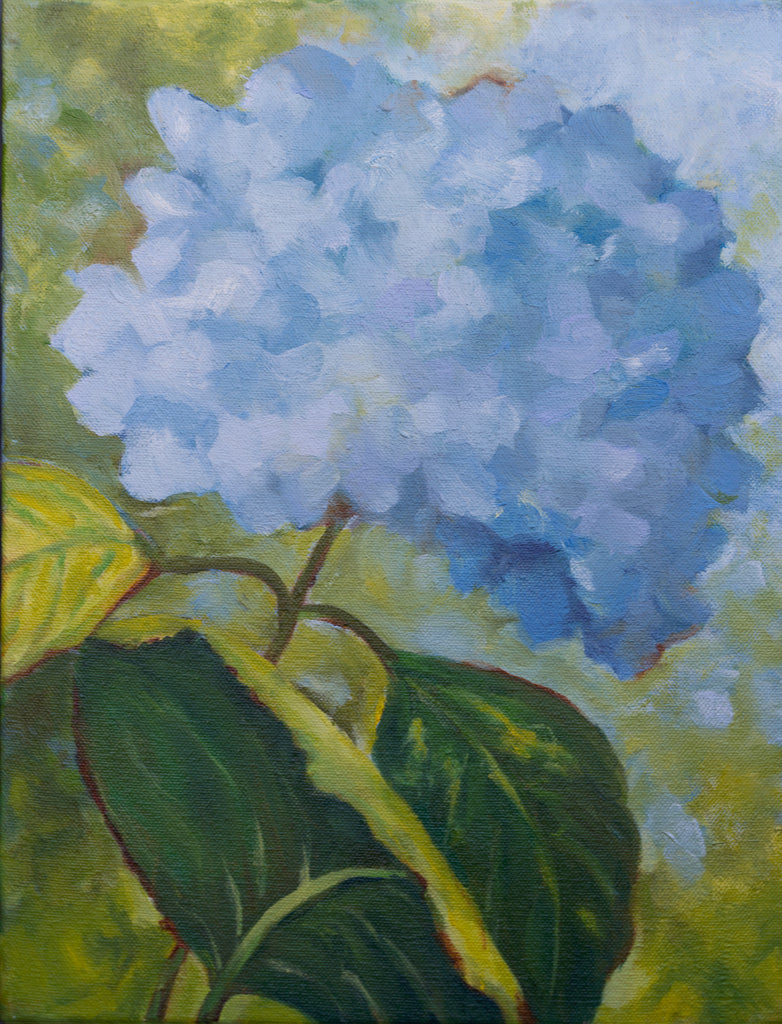 White Purple Blue Hygrangea