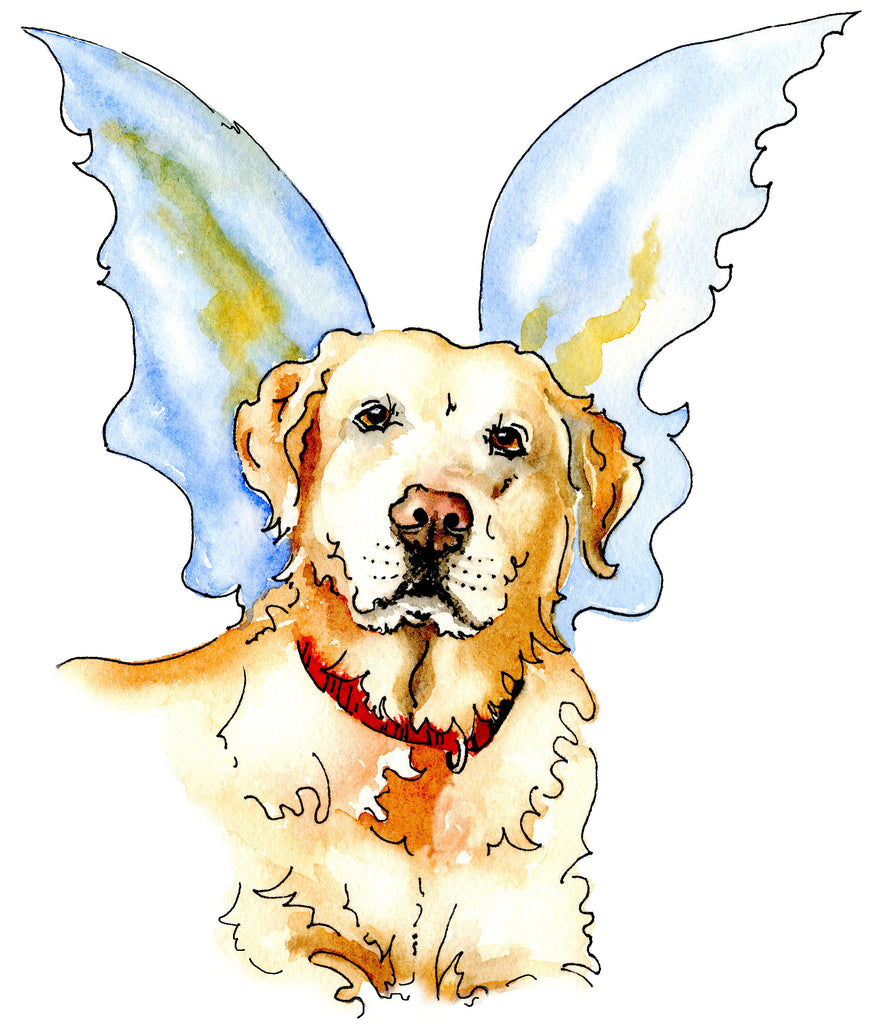 Dog Angels